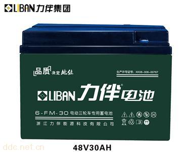  电动车专用电池6-FM-30